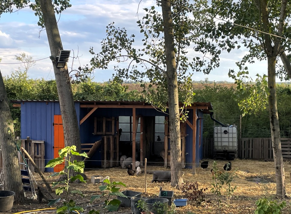 Termékértékelés - Teljes villanypásztor csomag háziállatoknak, 4000 m, 7,2 Joule - agroelectro.hu
