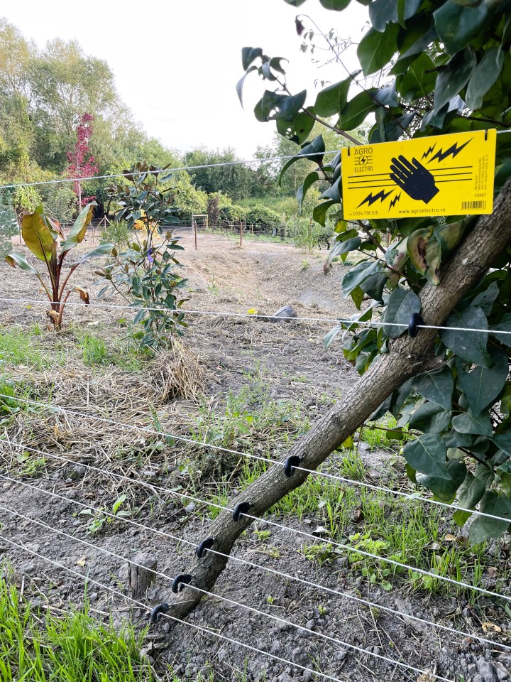 Termékértékelés - Teljes villanypásztor csomag háziállatoknak, 4000 m, 7,2 Joule - agroelectro.hu