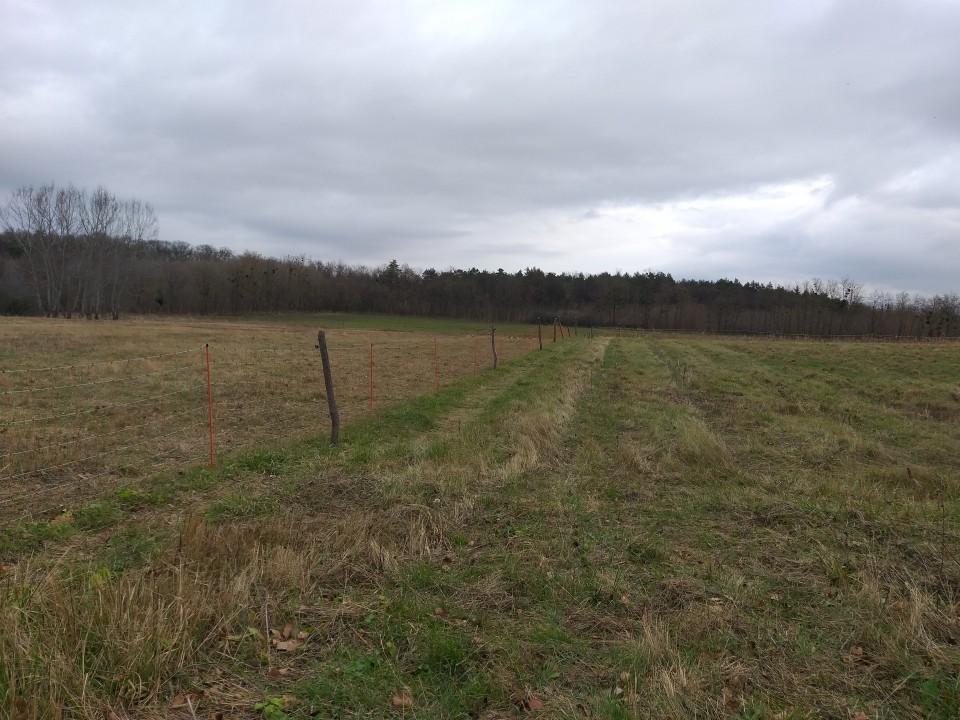 Termékértékelés - Villanypásztor háló 50 m × 108 cm - agroelectro.hu