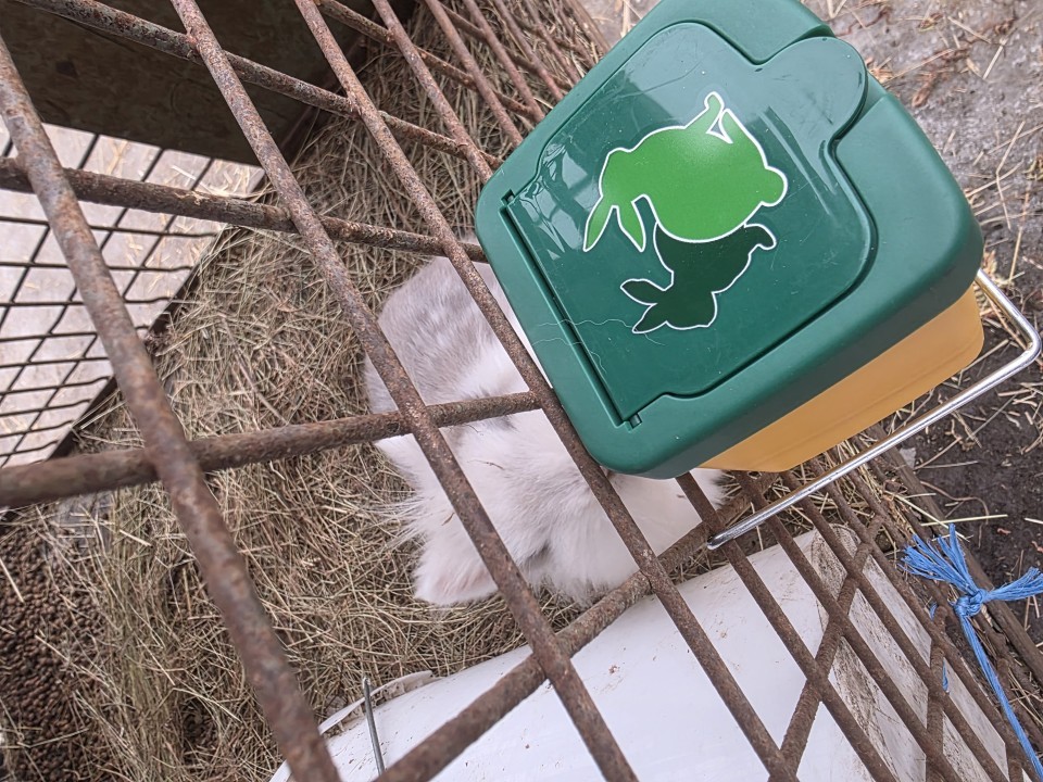 Termékértékelés - Itató nyulaknak, 0,5 literes - agroelectro.hu