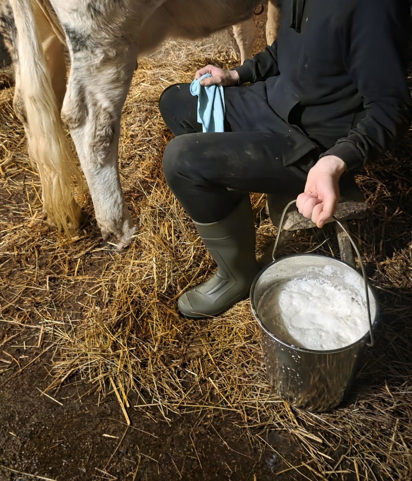 Termékértékelés - Rozsdamentes acél vödör, 12,3 literes - agroelectro.hu
