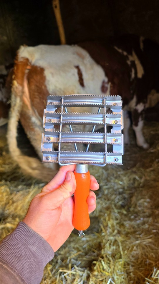 Termékértékelés - Fémvakaró és sörényfésű, 12 × 12,5 cm - agroelectro.hu