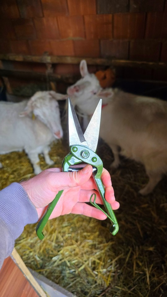 Termékértékelés - Körmöző olló, egyenes pengéjű - agroelectro.hu