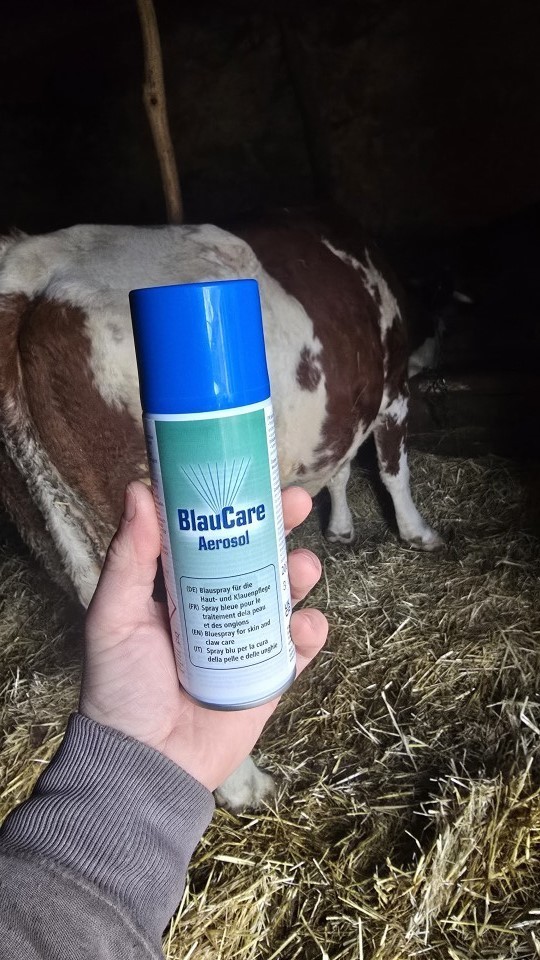 Termékértékelés - BlauCare kék fertőtlenítő spray, 200 ml - agroelectro.hu