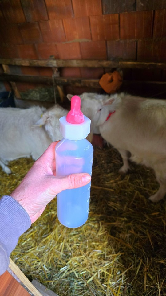 Termékértékelés - Bárány- és gidaitató palack, 500 ml - agroelectro.hu