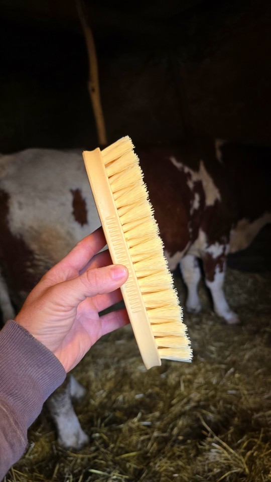 Termékértékelés - Súrlókefe - agroelectro.hu