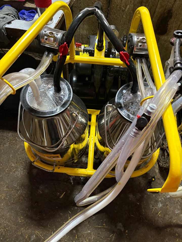 Termékértékelés - Fejőgép juhoknak, 4 fejőegységgel, 2 alumínium 30 literes sajtárral - agroelectro.hu