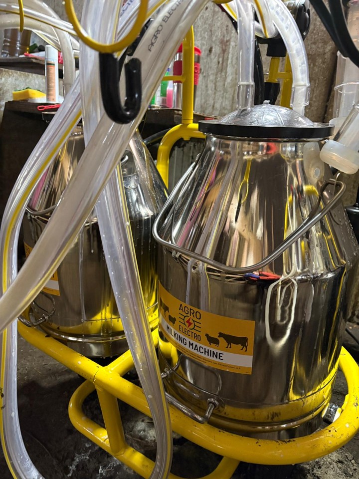 Termékértékelés - Fejőgép juhoknak, 4 fejőegységgel, 2 alumínium 30 literes sajtárral - agroelectro.hu