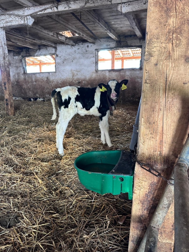 Termékértékelés - Műanyag itató úszóval, 5 literes - agroelectro.hu