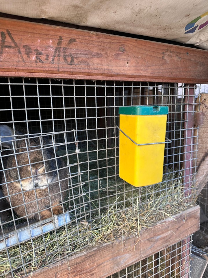 Termékértékelés - Itató nyulaknak, 1 literes - agroelectro.hu