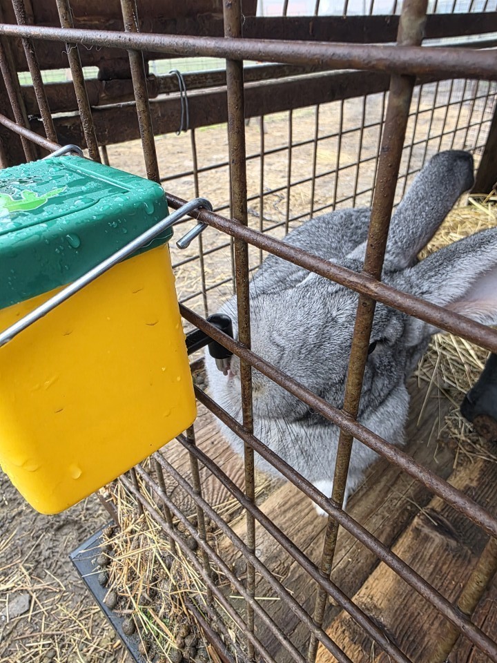Termékértékelés - Itató nyulaknak, 0,5 literes - agroelectro.hu