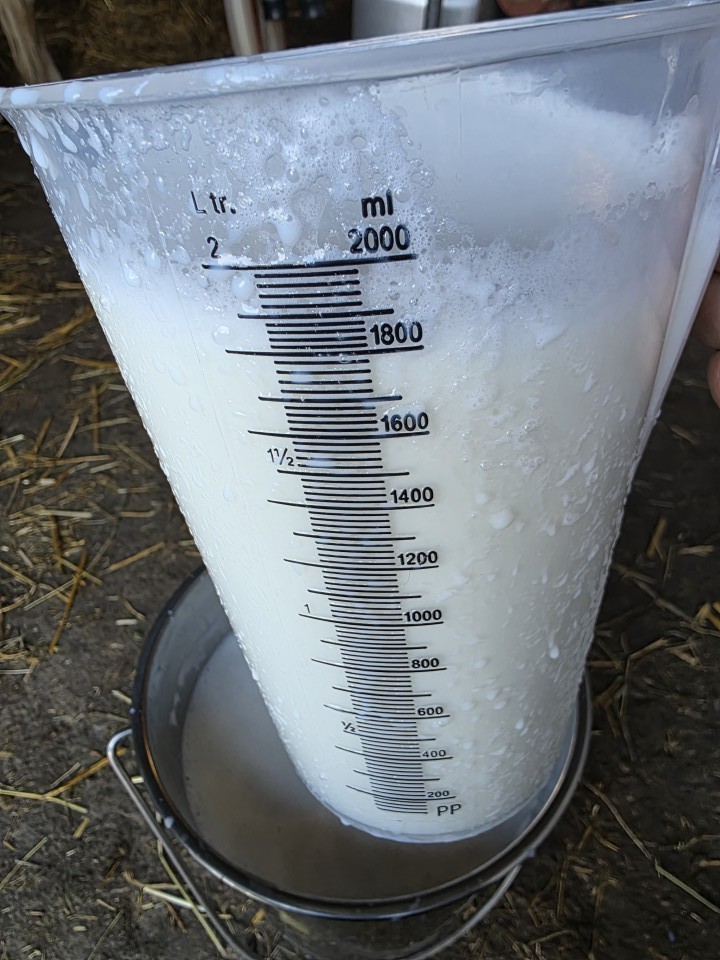 Termékértékelés - Mérőkanna, műanyag, 2 literes - agroelectro.hu