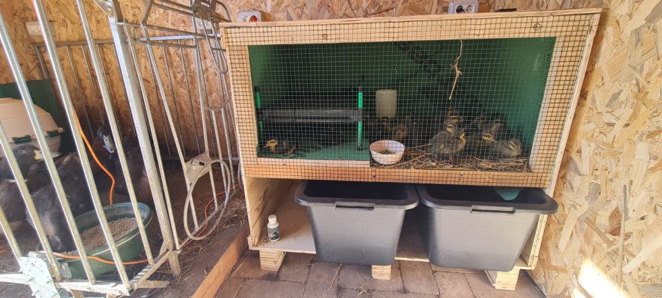 Termékértékelés - Csibemelegítő lap, CosyHeat, 40 × 50 cm - agroelectro.hu