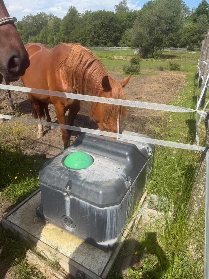 Termékértékelés - Fagyálló, golyós dupla itató szarvasmarháknak és lovaknak, 100 literes - agroelectro.hu