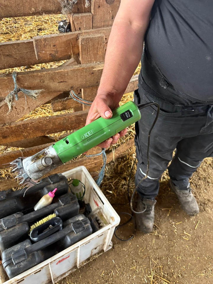 Termékértékelés - Constanta4 nyírógép, 13/4 késekkel, 230 V, juhoknak - agroelectro.hu