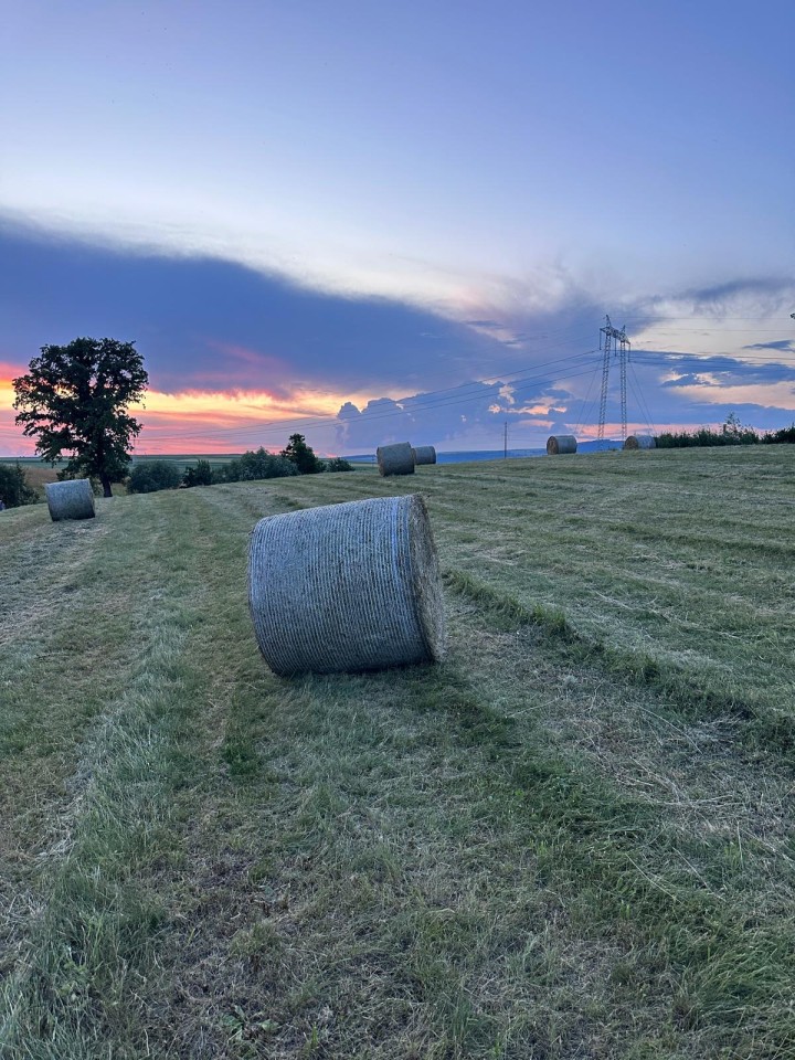 Termékértékelés - Bálaháló szett, 1,23 × 3000 m, XES Extreme, 8 db - agroelectro.hu