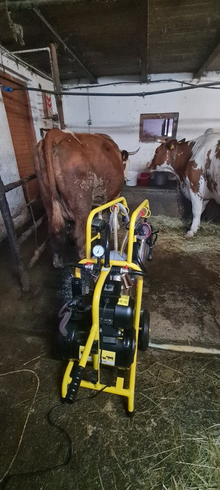 Termékértékelés - Fejőgép teheneknek, 2 fejőegységgel, 1 inox 40 literes sajtárral - agroelectro.hu