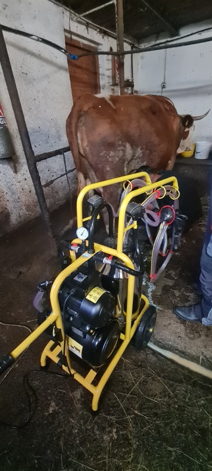 Termékértékelés - Fejőgép teheneknek, 2 fejőegységgel, 1 inox 40 literes sajtárral - agroelectro.hu