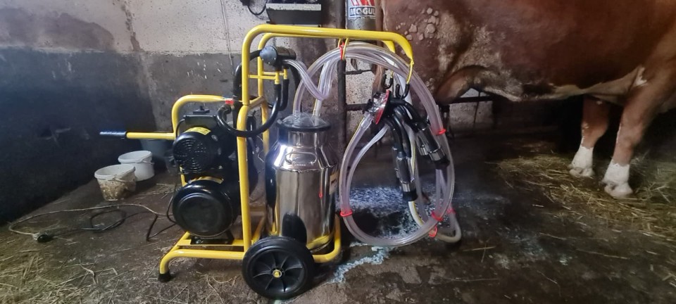 Termékértékelés - Fejőgép teheneknek, 2 fejőegységgel, 1 inox 40 literes sajtárral - agroelectro.hu