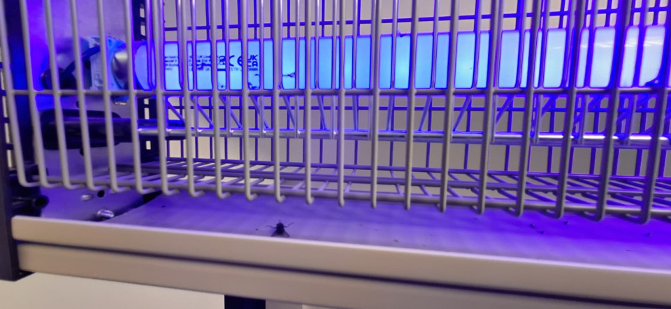 Termékértékelés - Elektromos légycsapda LED fénycsövekkel, EcoKill LED 2.0 - agroelectro.hu