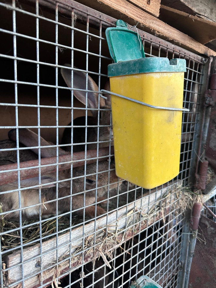 Termékértékelés - Itató nyulaknak, 1 literes - agroelectro.hu