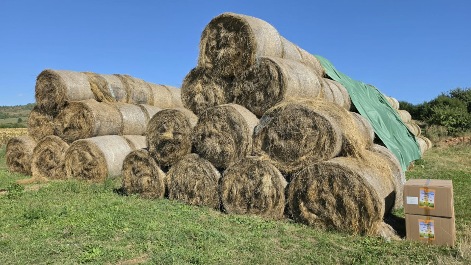 Termékértékelés - Bálatakaró ponyva - 9,8 × 25 m - agroelectro.hu
