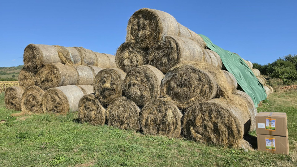 Termékértékelés - Bálatakaró ponyva - 9,8 × 12,5 m - agroelectro.hu
