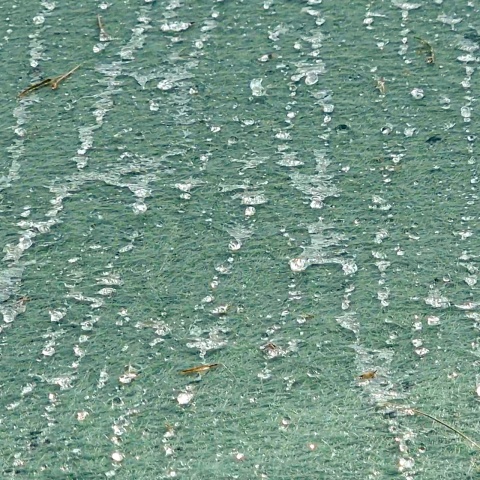 Bálatakaró ponyva - 7,6 × 12,5 m