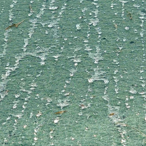 Bálatakaró ponyva - 7,6 × 25 m