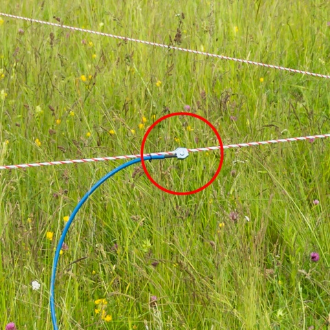 Készülék + kerítés csatlakoztatására alkalmas, magasfeszültségű kábel, 5 m