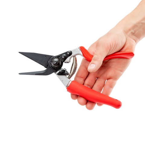 Patavágó olló juhok és kecskék számára, Felco 50