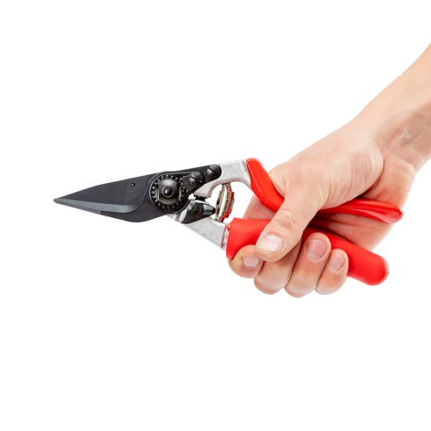 Patavágó olló juhok és kecskék számára, Felco 50