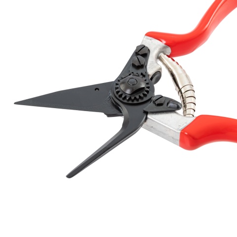 Patavágó olló juhok és kecskék számára, Felco 51