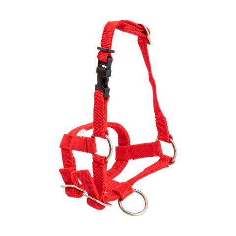 Kötőfék alpakáknak, piros