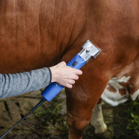 Aesculap Econom II nyírógép szarvasmarhák és lovak nyírására, 230 V
