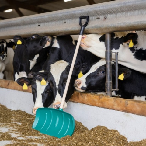 Takarmánylapát, nyél nélkül, 65 × 27 cm