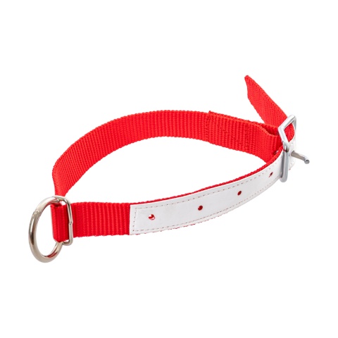 1155 - Nyakörv juhoknak, piros, 60 cm - 2270 Ft