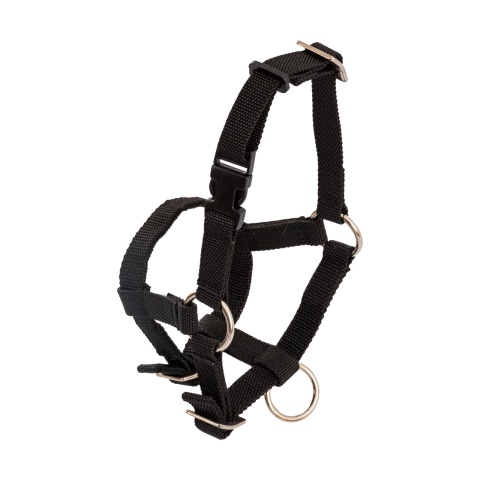 Kötőfék alpakáknak, fekete