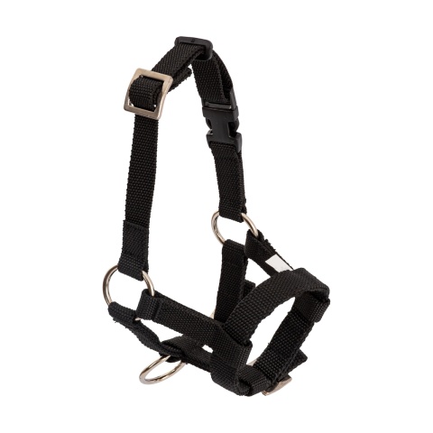 Kötőfék alpakáknak, fekete