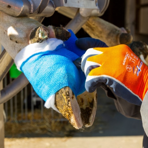 Öntapadó patakötöző, Vetlastic, kék, 450 × 7,5 cm