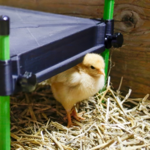 Csibemelegítő lap, CosyHeat, 30 × 30 cm