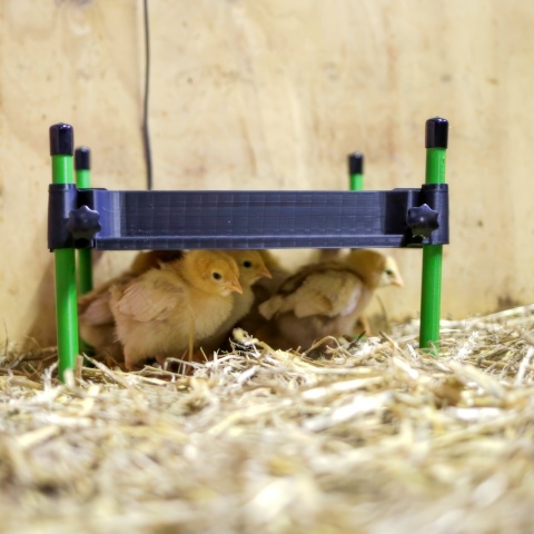 Csibemelegítő lap, CosyHeat, 30 × 30 cm