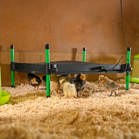 Csibemelegítő lap, CosyHeat, 40 × 50 cm