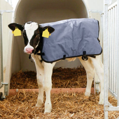 Vízálló borjútakaró, szürke, 80 × 70 cm