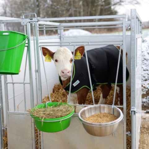 Prémium borjútakaró, hőszigetelő, vízálló, fekete, 80 × 70 cm