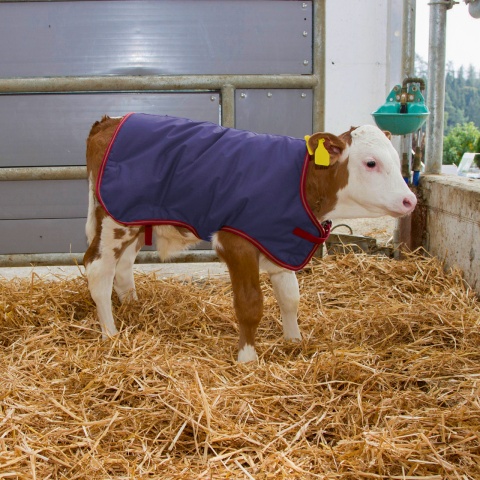 Vízálló borjútakaró, ThermoPlus, sötétkék, 70 × 70 cm