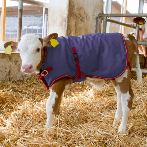 Vízálló borjútakaró, ThermoPlus, sötétkék, 70 × 70 cm