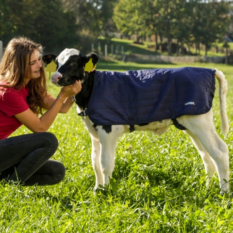 Vízálló borjútakaró, EasyWear, sötétkék, 70 × 70 cm