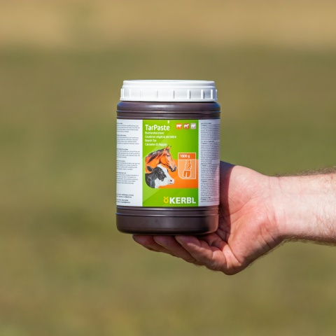 Bükkfakátrány paszta, TarPaste, 1 kg