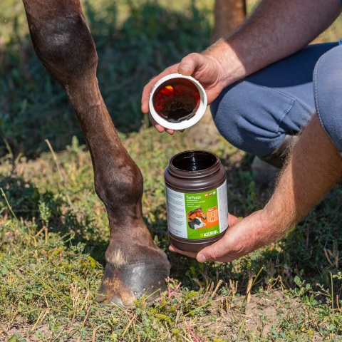 Bükkfakátrány paszta, TarPaste, 1 kg